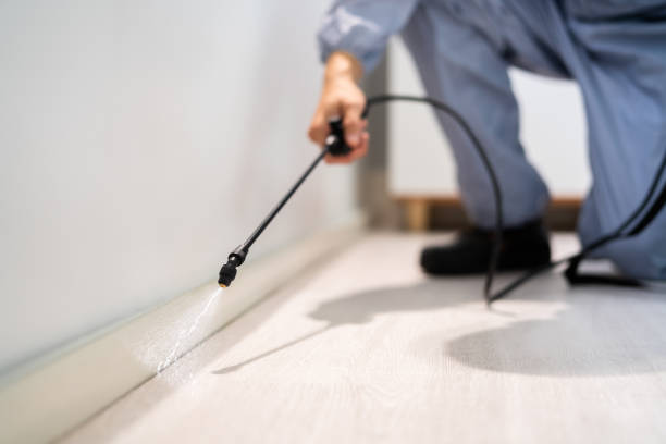 Licensed Pest Control service in Columbus, MN - Show Me Pest Control